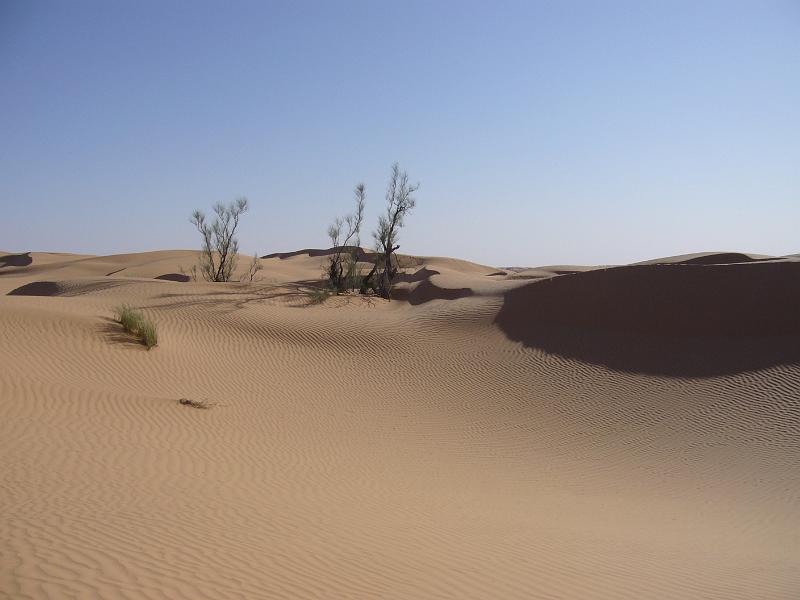 p1100863.jpg