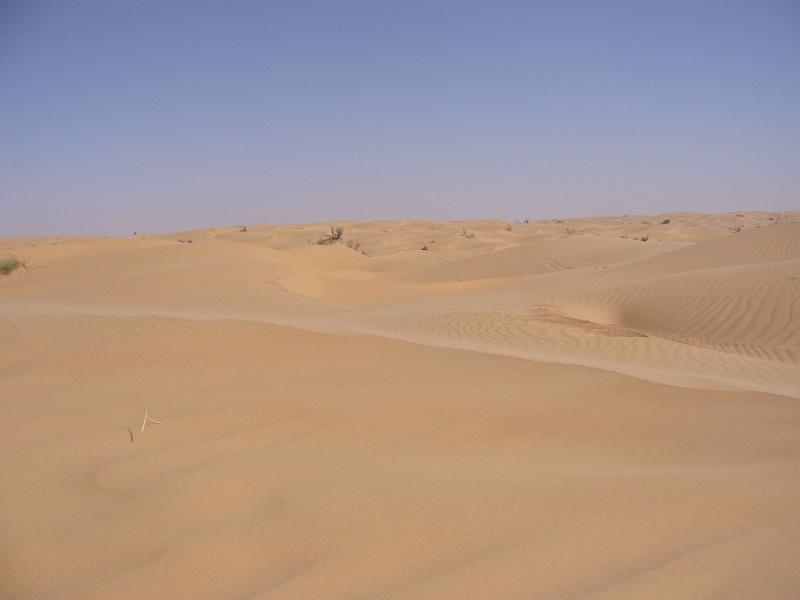 p1100894.jpg
