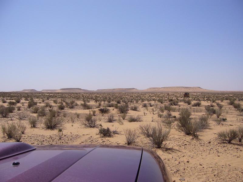 p1100900.jpg