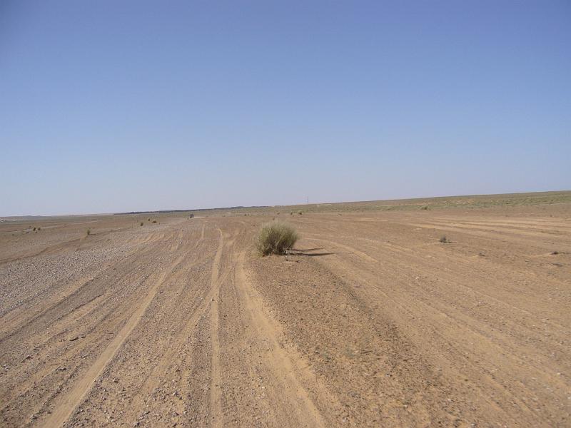 p1100927.jpg