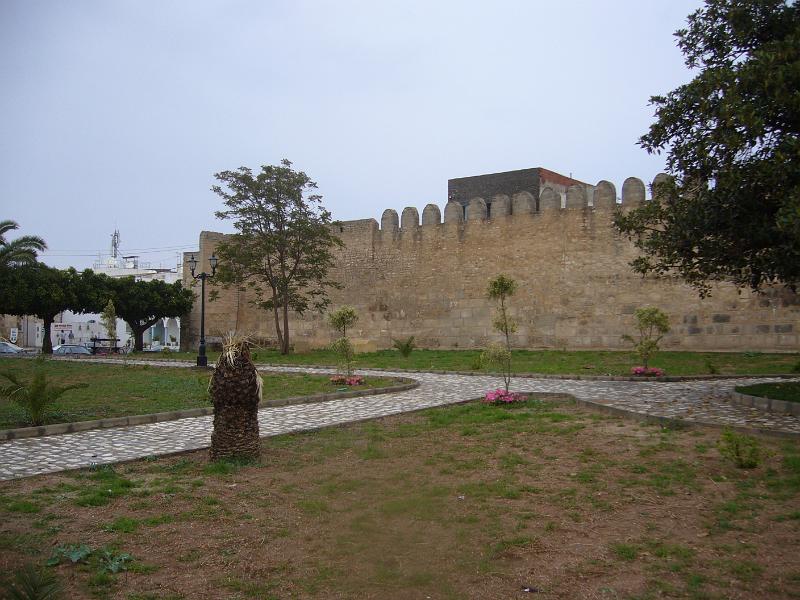 p1100978.jpg