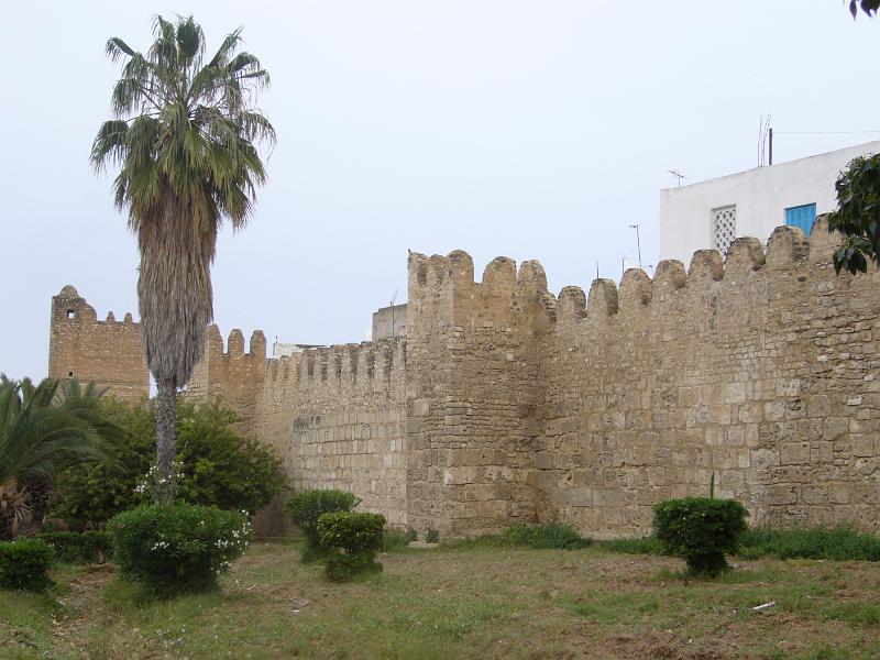 p1100979.jpg