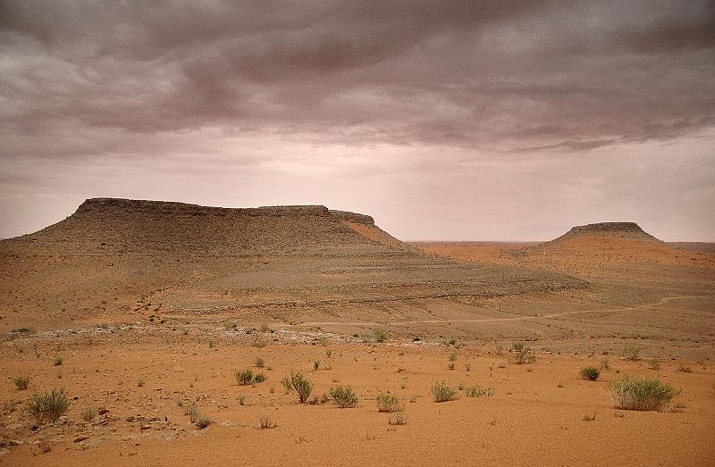 DSC_4102.JPG