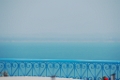 _DSC7786