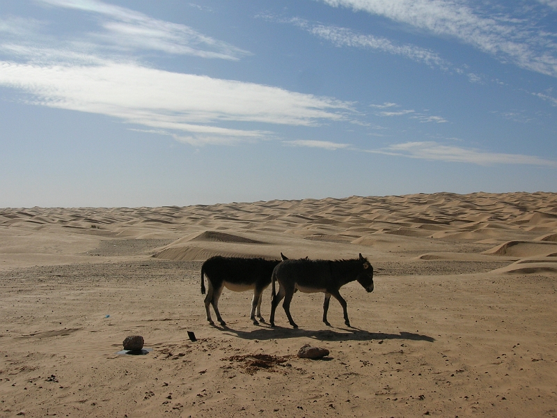 DSCN3728.JPG