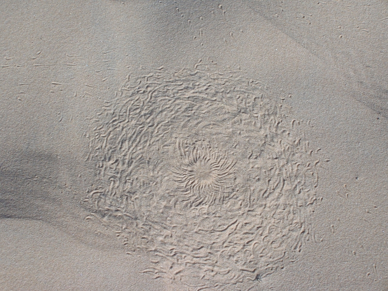 DSCN3750.JPG