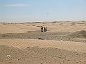 DSCN3737