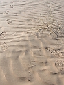 DSCN3745