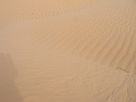 DSCN3761