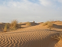 DSCN3770