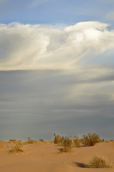 _DSC1427.JPG