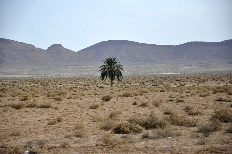 _DSC1980.JPG