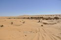 _dsc0267