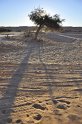 _dsc0349