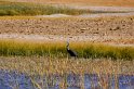_dsc0377