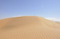 _DSC4726